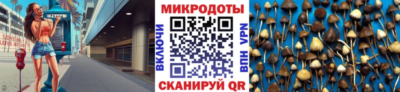 Галлюциногенные грибы мухоморы где найти кракен Заозёрск