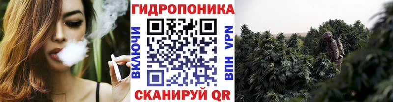 Бошки марихуана THC 21%  omg сайт  Заозёрск 